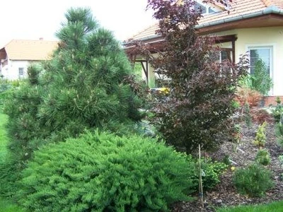 Budování zahrady Brno