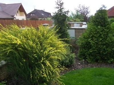 Jaro na zahradě Brno