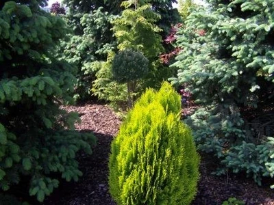 Okrasná zahrada Brno