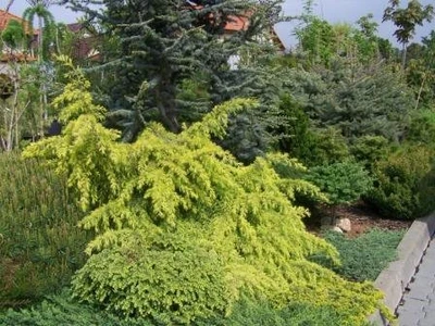 Realizace zahrad Brno