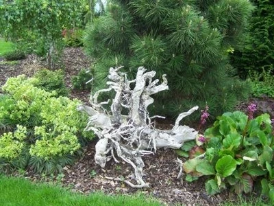 Zahradní architektura Brno